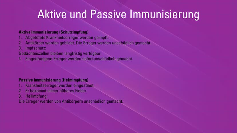 Infektionskrankheiten – Bakterien -
Viren
Übersicht
1. Was ist eine Infektion? Welche Erreger gibt es? (Krankheiten
durch...)
2. Eigenschaft