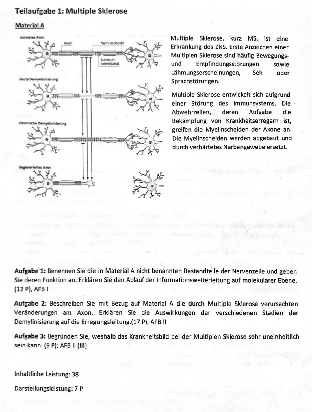  Neurobiologie Probeklausur