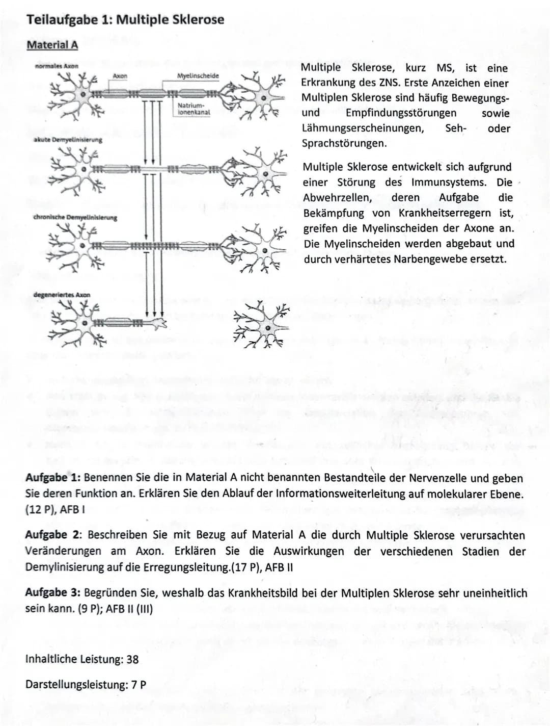 Teilaufgabe 1: Multiple Sklerose
Material A
normales Axon
akute Demyelinisierung
Axon
chronische Demyelinisierung
degeneriertes Axon
Myelins