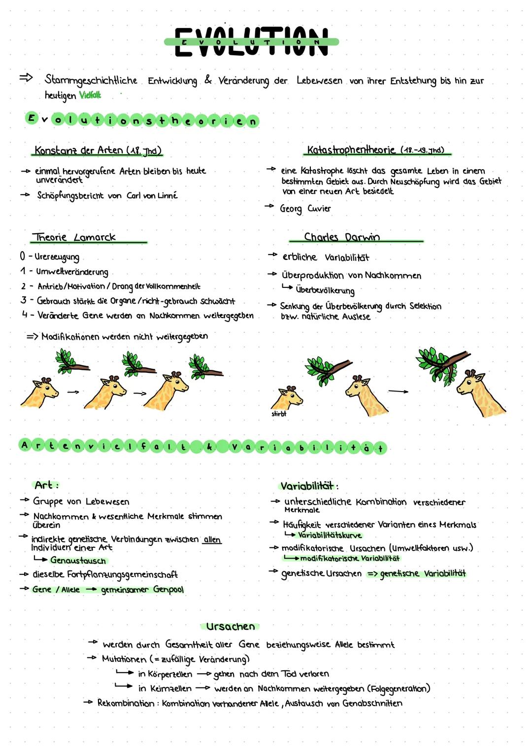 # EVOLUTION

→ Stammgeschichtliche Entwicklung & Veränderung der Lebewesen von ihrer Entstehung bis hin zur
heutigen Vielfalt

Evo
stheorien