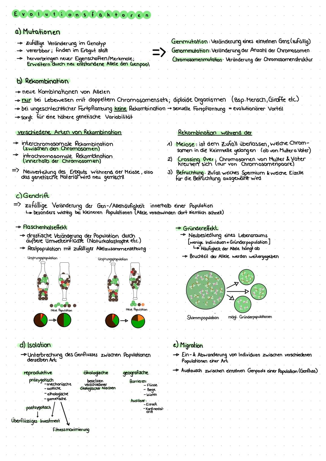 # EVOLUTION

→ Stammgeschichtliche Entwicklung & Veränderung der Lebewesen von ihrer Entstehung bis hin zur
heutigen Vielfalt

Evo
stheorien