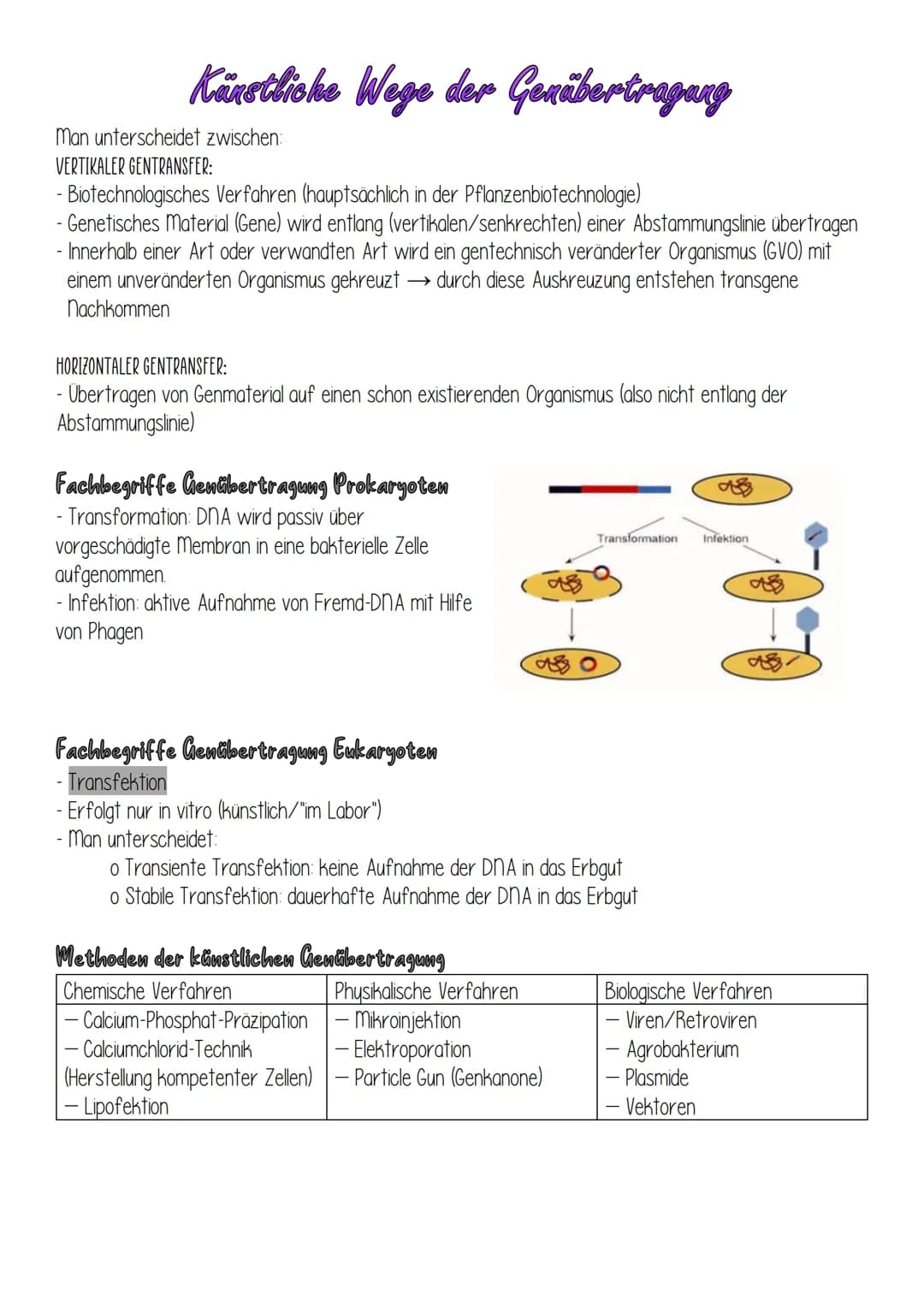 Künstliche Wege der Genübertragung
man unterscheidet zwischen:
VERTIKALER GENTRANSFER:
- Biotechnologisches Verfahren (hauptsächlich in der 