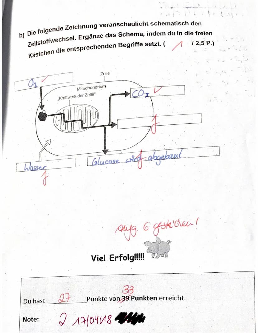 Klassenarbeit Biologie 7f
Thema: Fotosynthese + Zellatmung
Name: Elisa
1. Van Helmont, ein niederländischer Wissenschaftler des 17.
Jahrhund
