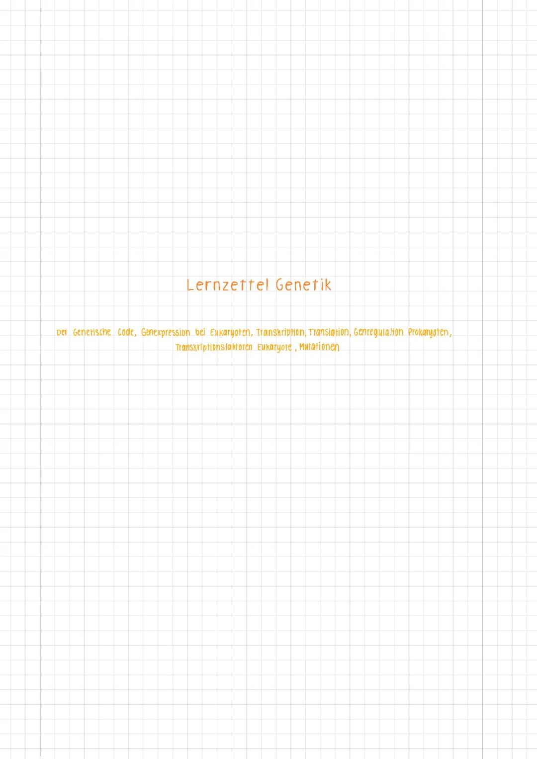 Lernzettel Genetik / Transkription / Translation etc. 