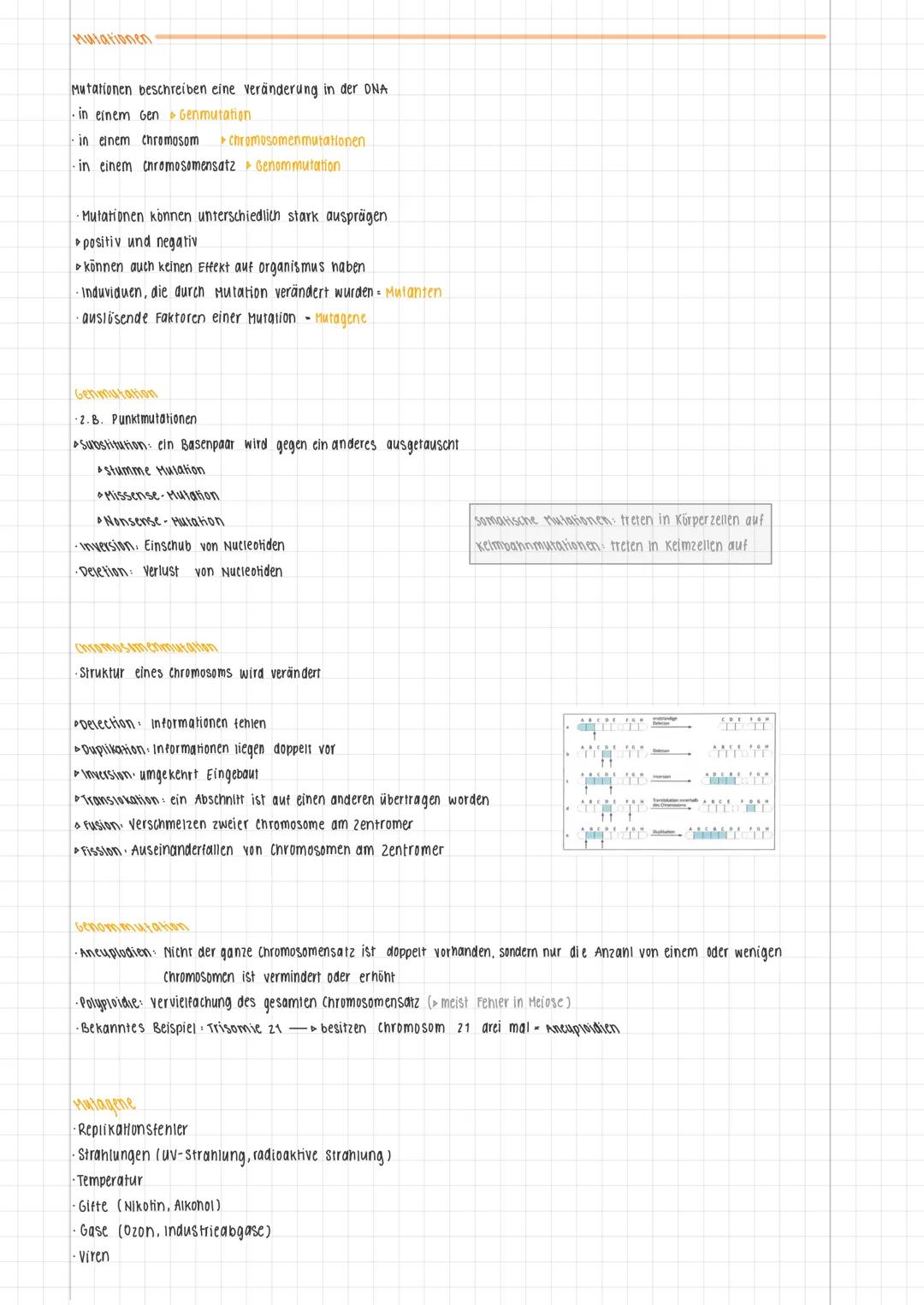 Lernzettel Genetik
Der Genetische Code, Genexpression bei Eukaryoten, Transkription, Translation, Genregulation Prokaryoten,
Transkriptionsf