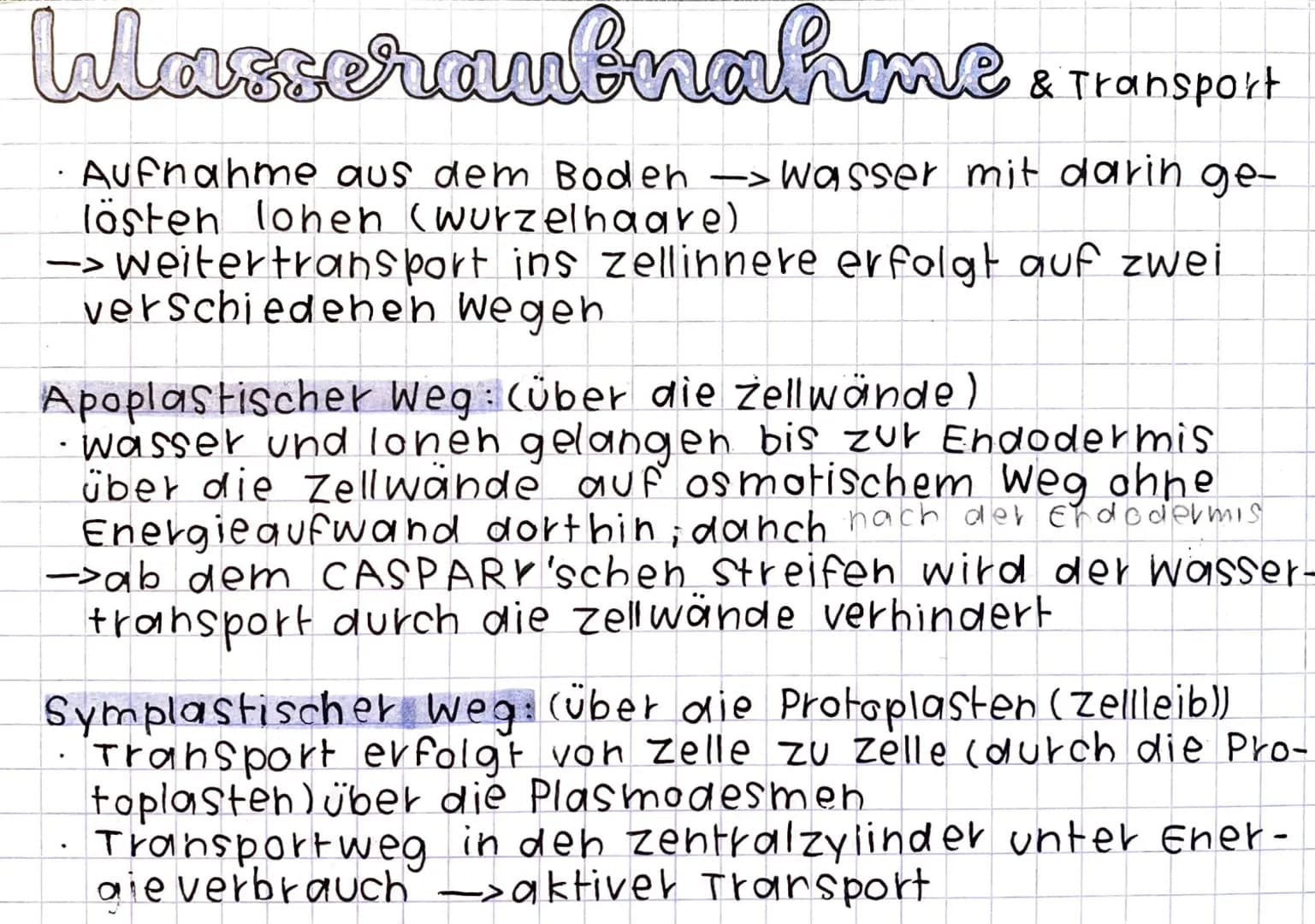 Homoitherme Tiere
Körpertemperatur wird unabhängig von der Umge-
bungstemperatur konstant gehalten = endotherm
Energie- und Nahrungsbedarf i