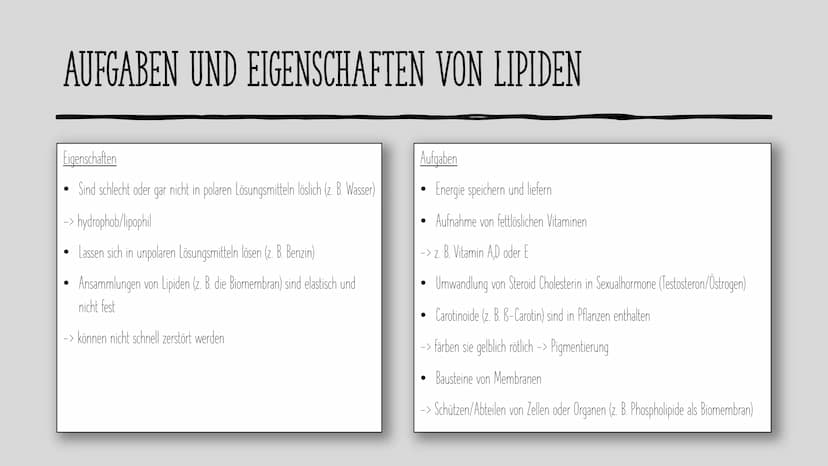 LIPIDE
Charlotte und Laura H. INHALT
Als was kommen Lipide vor?
Aufgaben und Eigenschaften von Lipiden
Aufbau von Lipiden
Fettsäuren
Grundau
