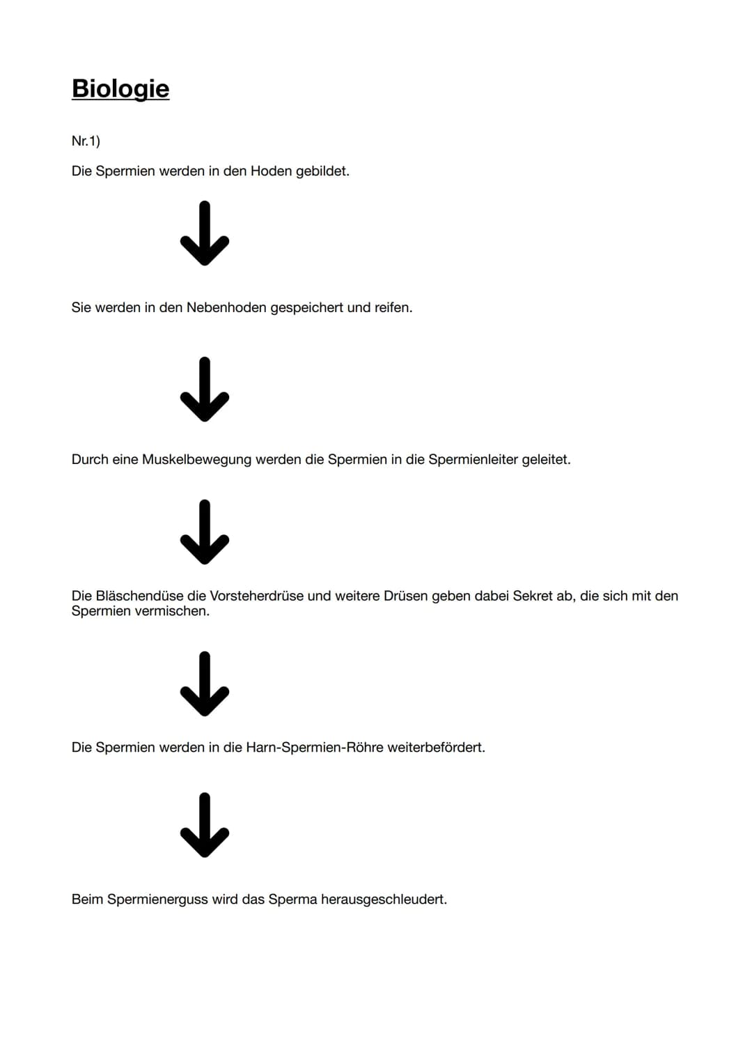 Biologie
Nr.1)
Die Spermien werden in den Hoden gebildet.
↓
Sie werden in den Nebenhoden gespeichert und reifen.
Durch eine Muskelbewegung w