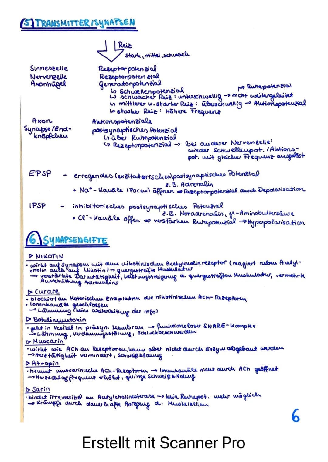 BIOLOGIE LERNZETTEL - LK NEUROPHYSIOLOGIE
afferente Bahnen
= sensible Nerven
ENS
Rezeptoren /Sinneszellen
REIZ
Axonverzweigungen
(Kollateral