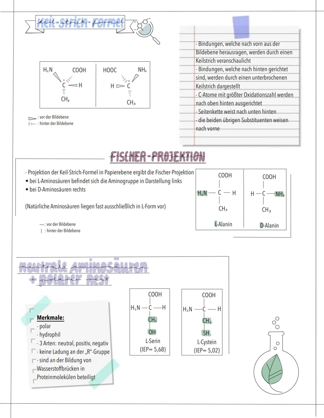 AMINOSÄUREN
bedeutung
- Bausteine der Proteine
- an Aufbau der Proteine ca. 20 Aminosäuren beteiligt
-Ausgangsstoffe für wichtige Stoffwechs