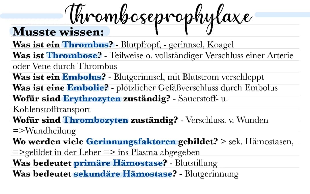 Thromboseprophylaxe