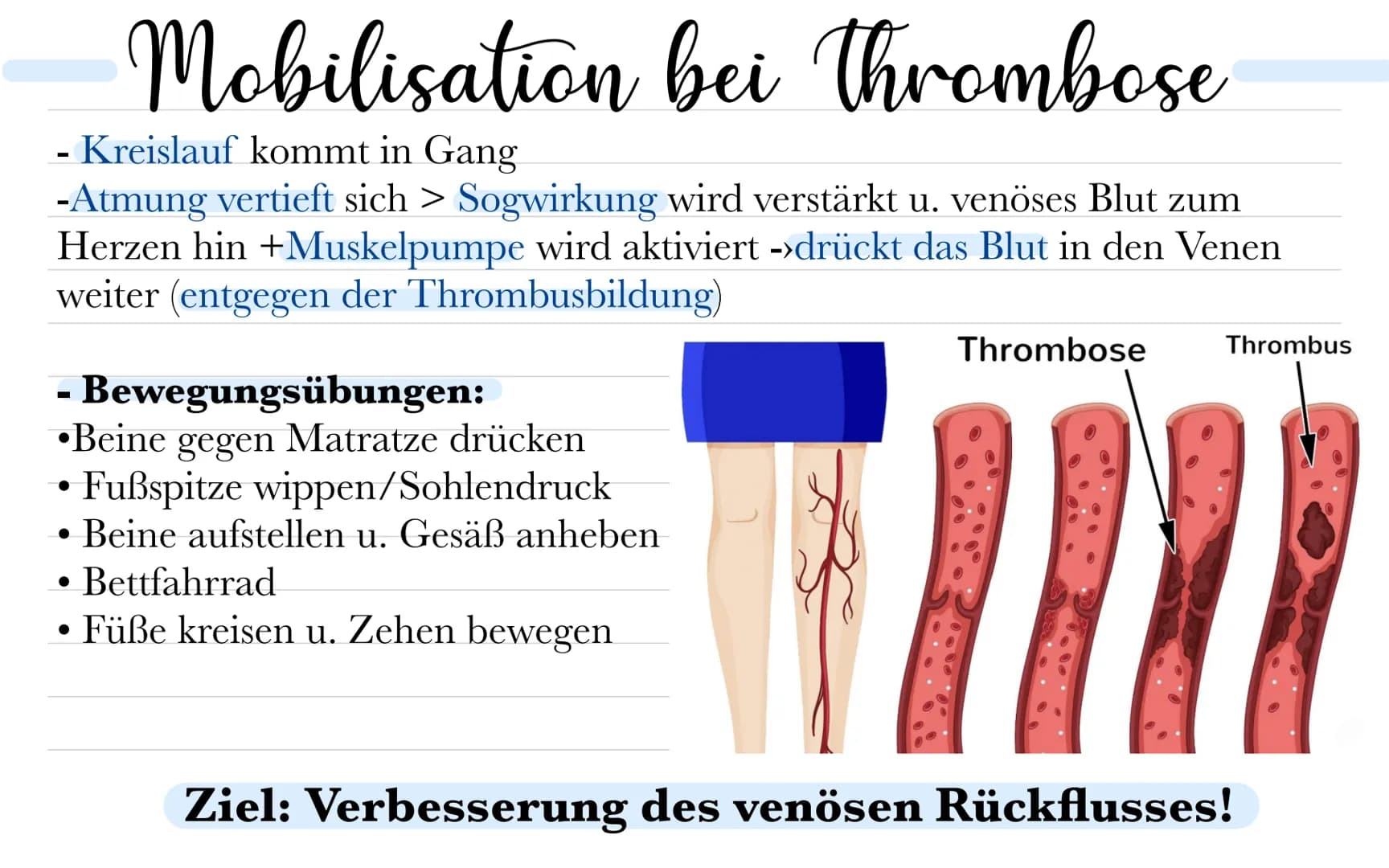 thromboseprophylaxe
Musste wissen:
Was ist ein Thrombus? - Blutpfropf, - gerinnsel, Koagel
Was ist Thrombose? - Teilweise o. vollständiger V