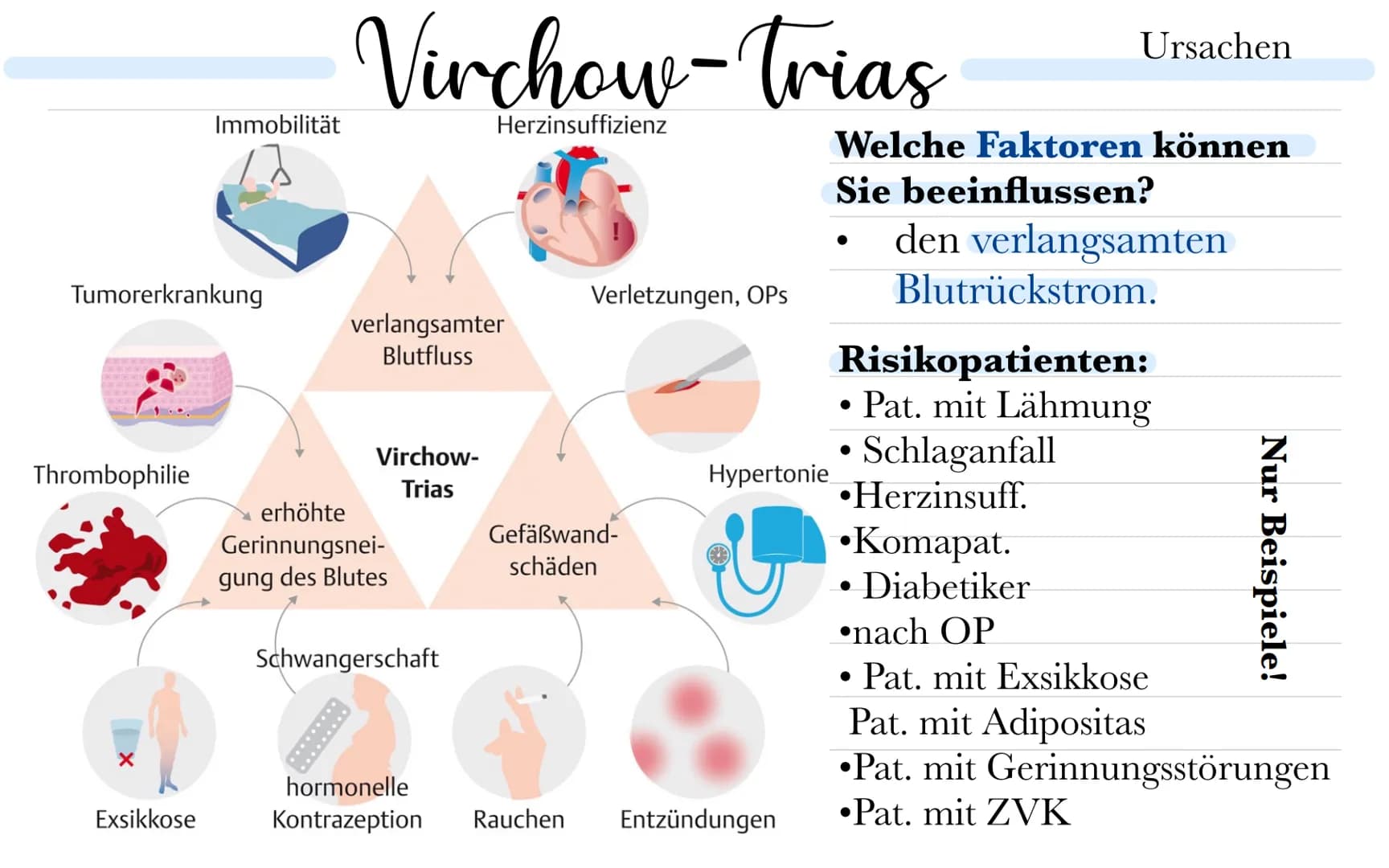 thromboseprophylaxe
Musste wissen:
Was ist ein Thrombus? - Blutpfropf, - gerinnsel, Koagel
Was ist Thrombose? - Teilweise o. vollständiger V