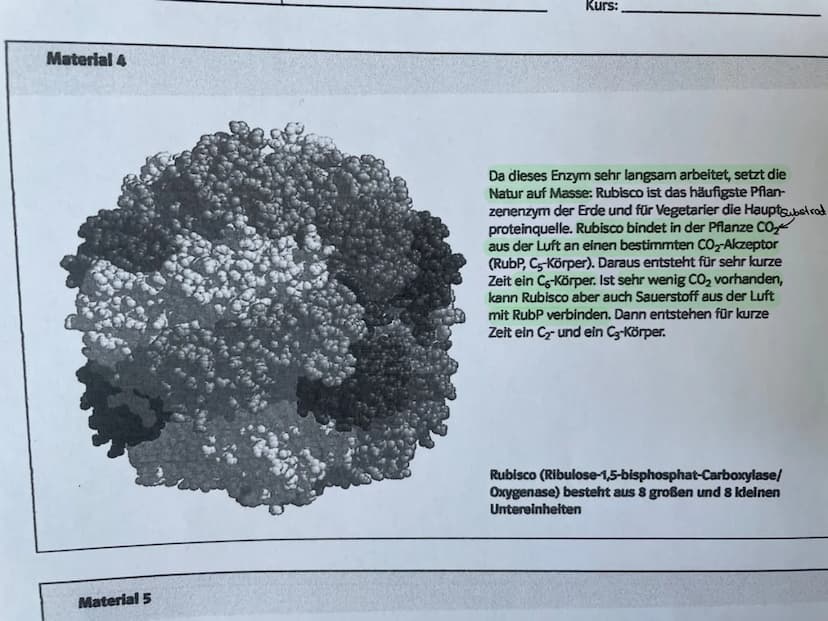 Klausur: Enzyme-steuernde und gesteuerte Proteine der Zelle
Aufgaben
Enzyme steuern viele Vorgänge in der Zelle und sind damit wichtige Mole