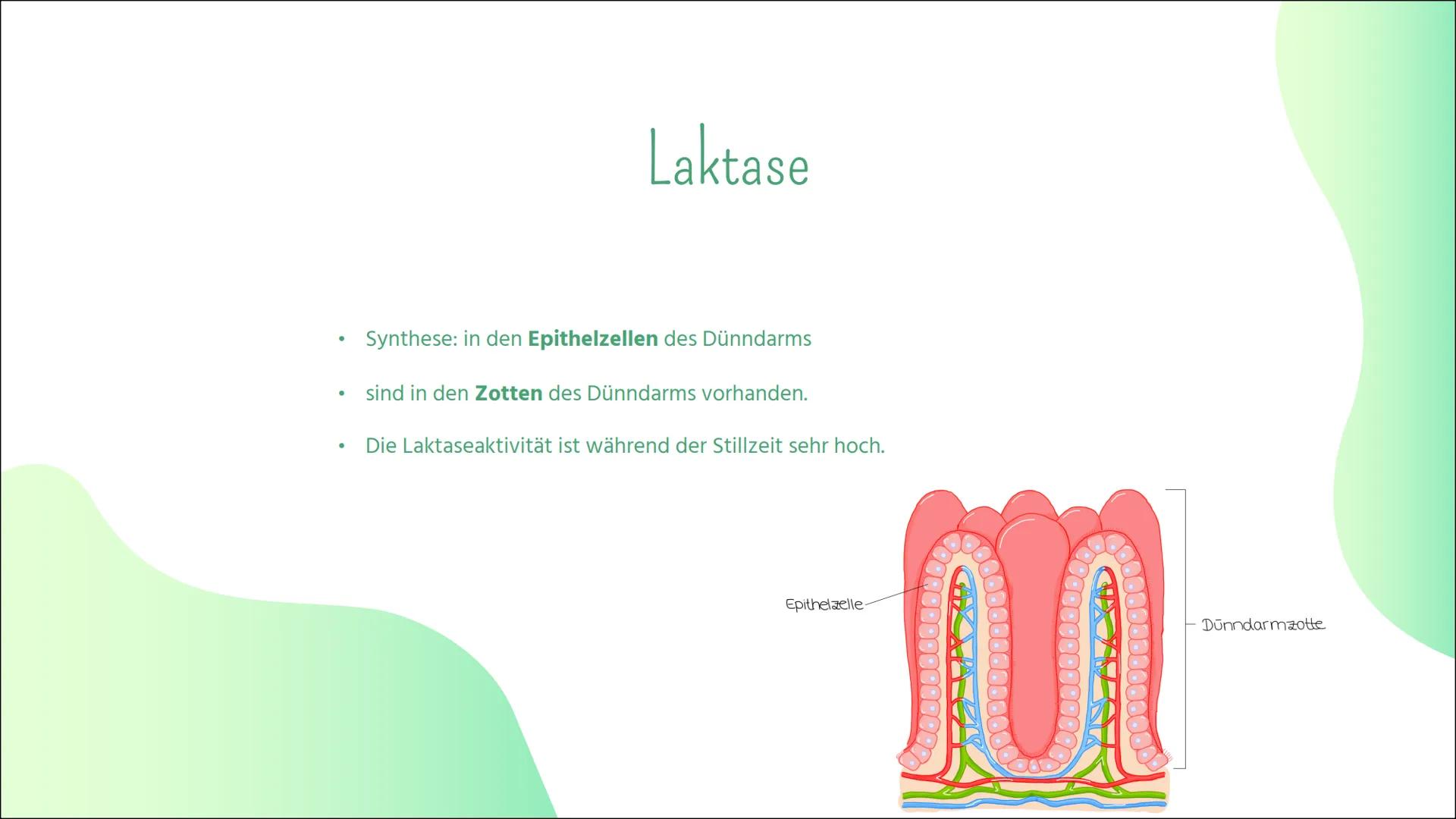 # Laktoseintoleranz # Gliederung

01
Definiton

02
Laktoseabbau

03
Symptome

04
Häufigkeit

05
Diagnostik

06
Behandlung # 01

Definition -