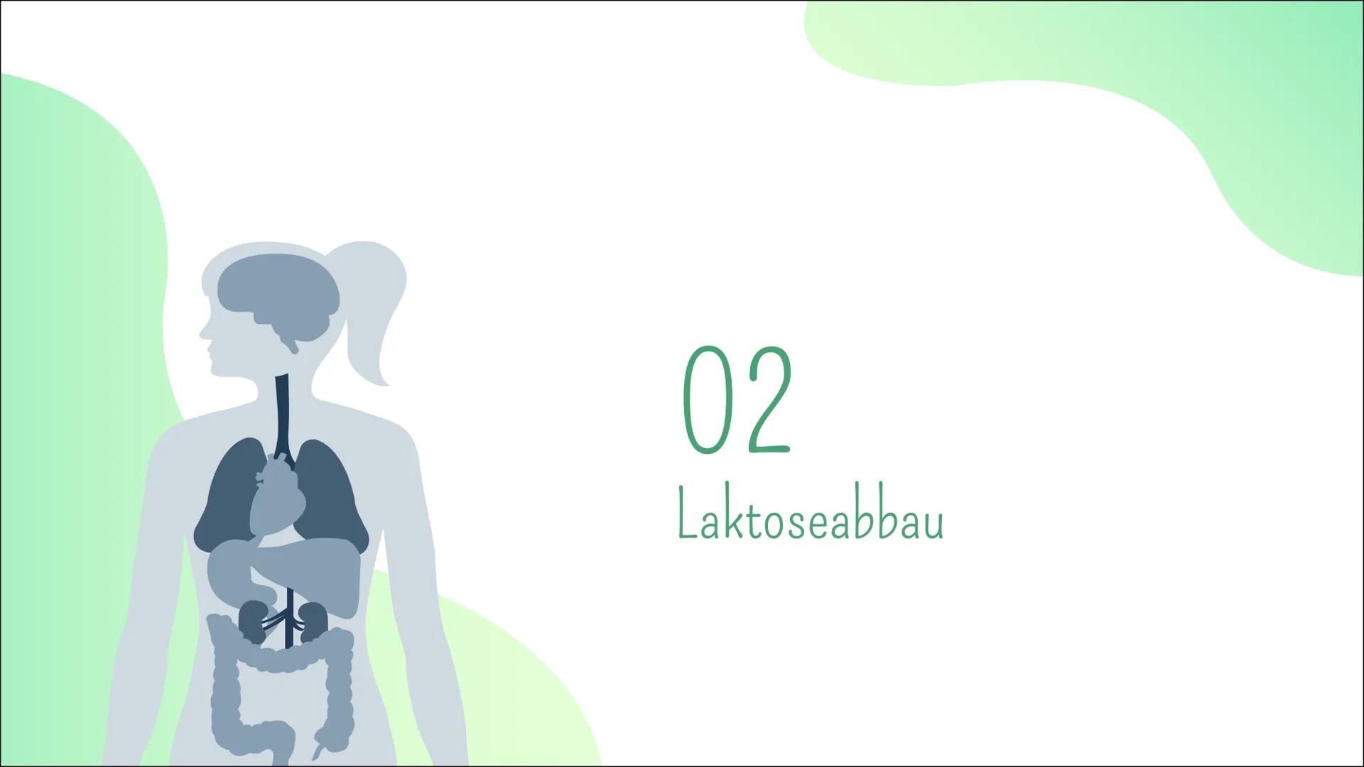 # Laktoseintoleranz # Gliederung

01
Definiton

02
Laktoseabbau

03
Symptome

04
Häufigkeit

05
Diagnostik

06
Behandlung # 01

Definition -