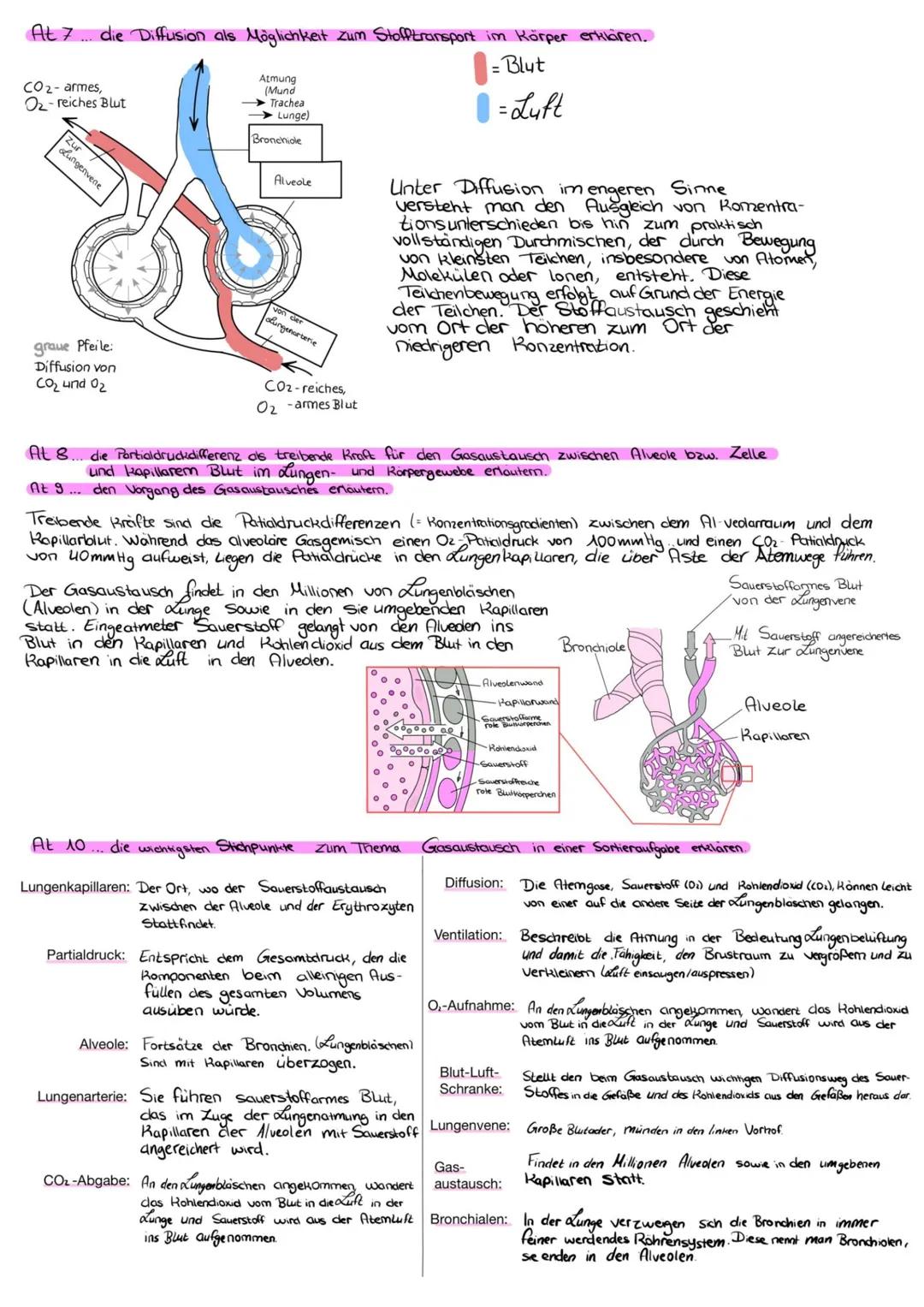 At1 die Bedeutung der Fachbegriffe. zum Thema Atmung angeben
1. Alveolen
Lungenblaschen
2. Diaphragma Zwerchfell
3. Epiglottis Kehldeckel
4.