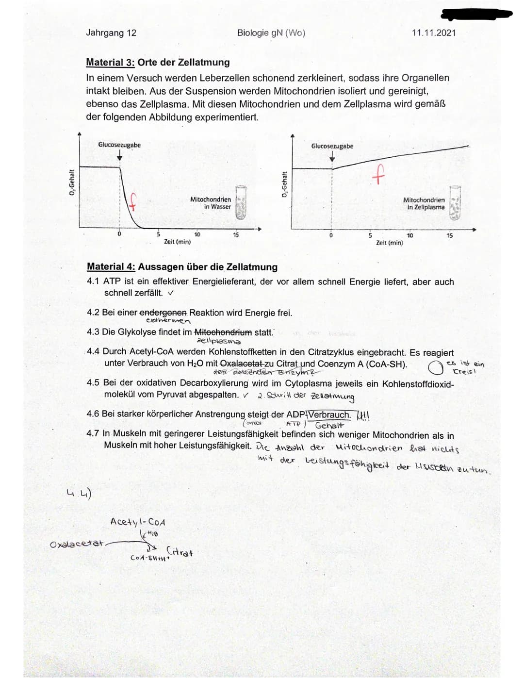Jahrgang 12
Name: Elisabeths
Ergebnis:
Aufgabennummer
1
Erreichte Punktzahl
7
Mögliche Punktzahl 7
Biologie gN (Wo)
Klausur Nr. 1 - Zellatmu
