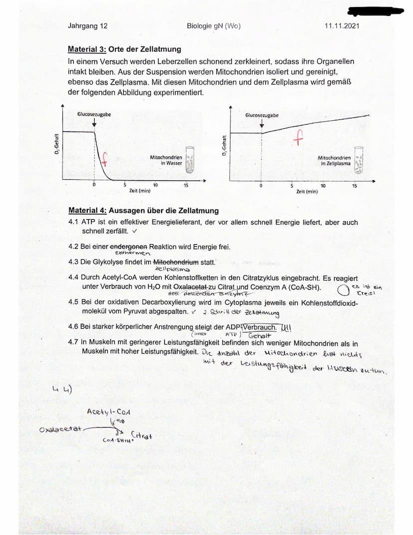 Jahrgang 12
Name: Elisabeths
Ergebnis:
Aufgabennummer
1
Erreichte Punktzahl
7
Mögliche Punktzahl 7
Biologie gN (Wo)
Klausur Nr. 1 - Zellatmu