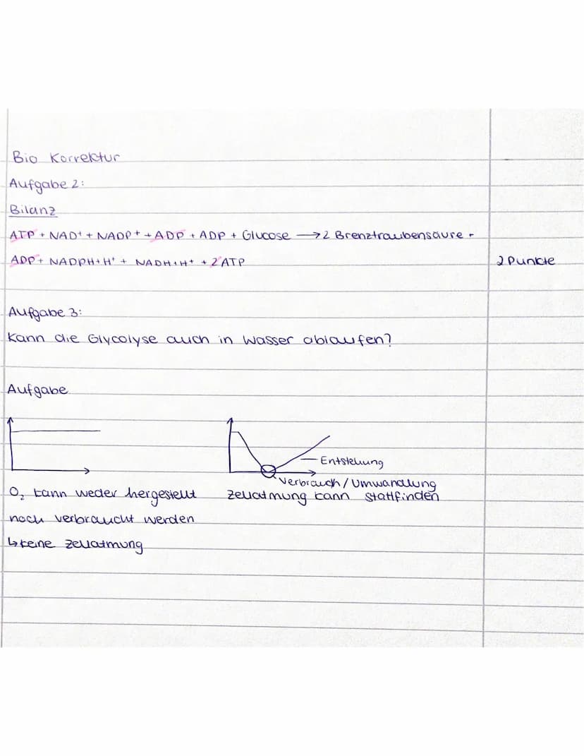 Jahrgang 12
Name: Elisabeths
Ergebnis:
Aufgabennummer
1
Erreichte Punktzahl
7
Mögliche Punktzahl 7
Biologie gN (Wo)
Klausur Nr. 1 - Zellatmu