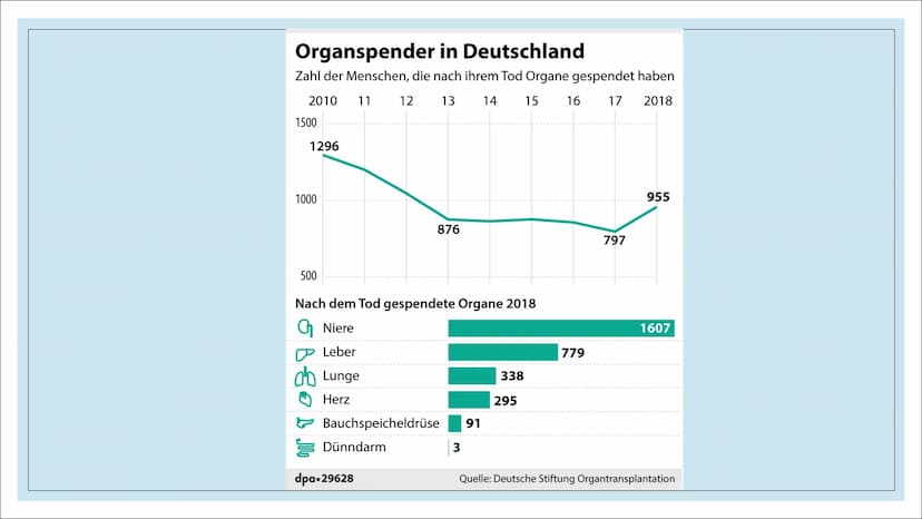 ORGANSPENDE Struktur
1. Leitfrage
2.
Definition
3. Organe und Gewebe zum Spenden
4. Voraussetzungen
5. Organspendeausweis
6. Organspender in