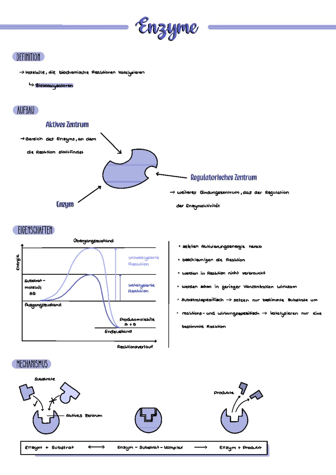 Enzyme