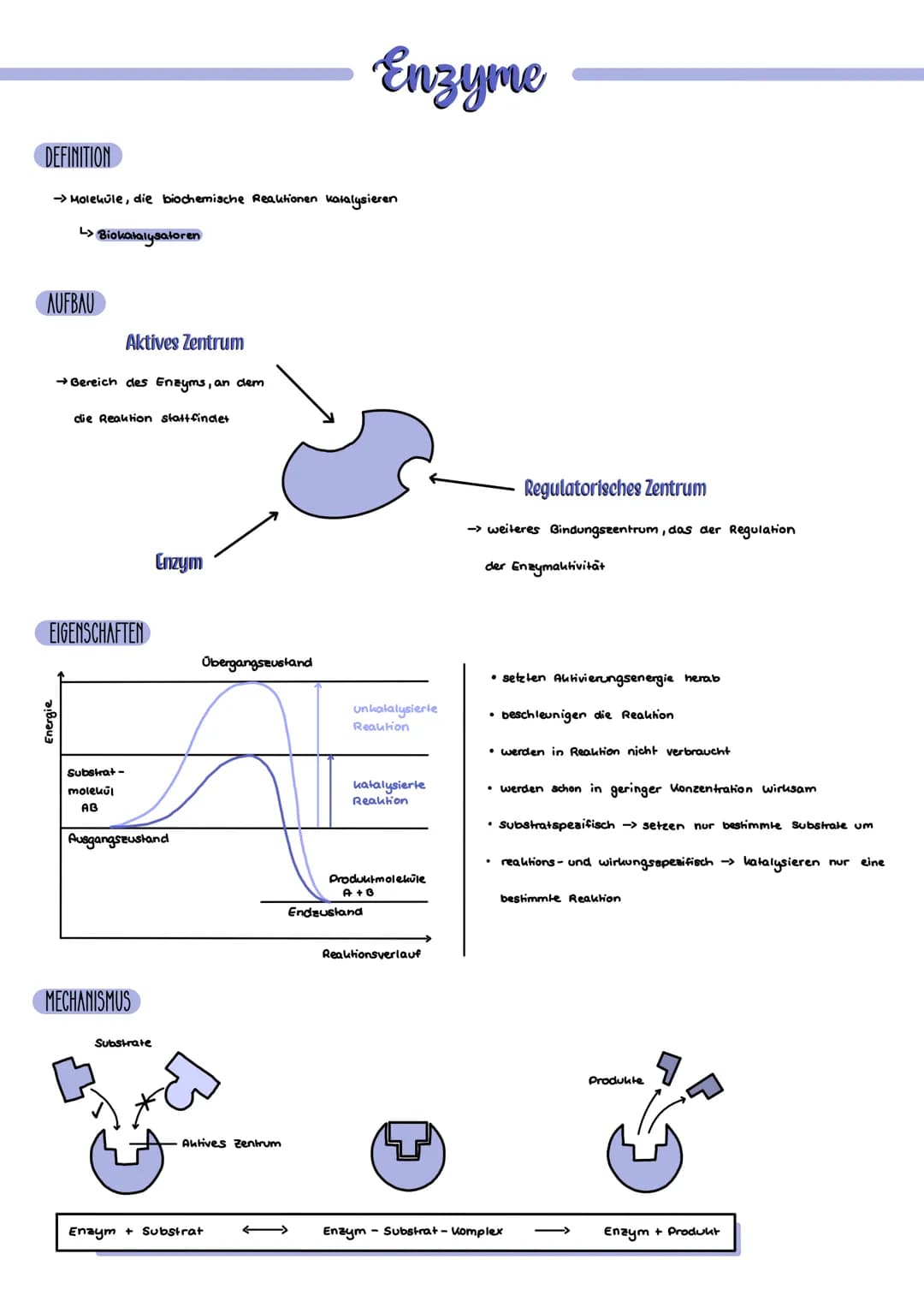 DEFINITION
→ Molekule, die biochemische Reaktionen katalysieren
Biokatalysatoren
L>
AUFBAU
Energie
Aktives Zentrum
→ Bereich des Enzyms, an 