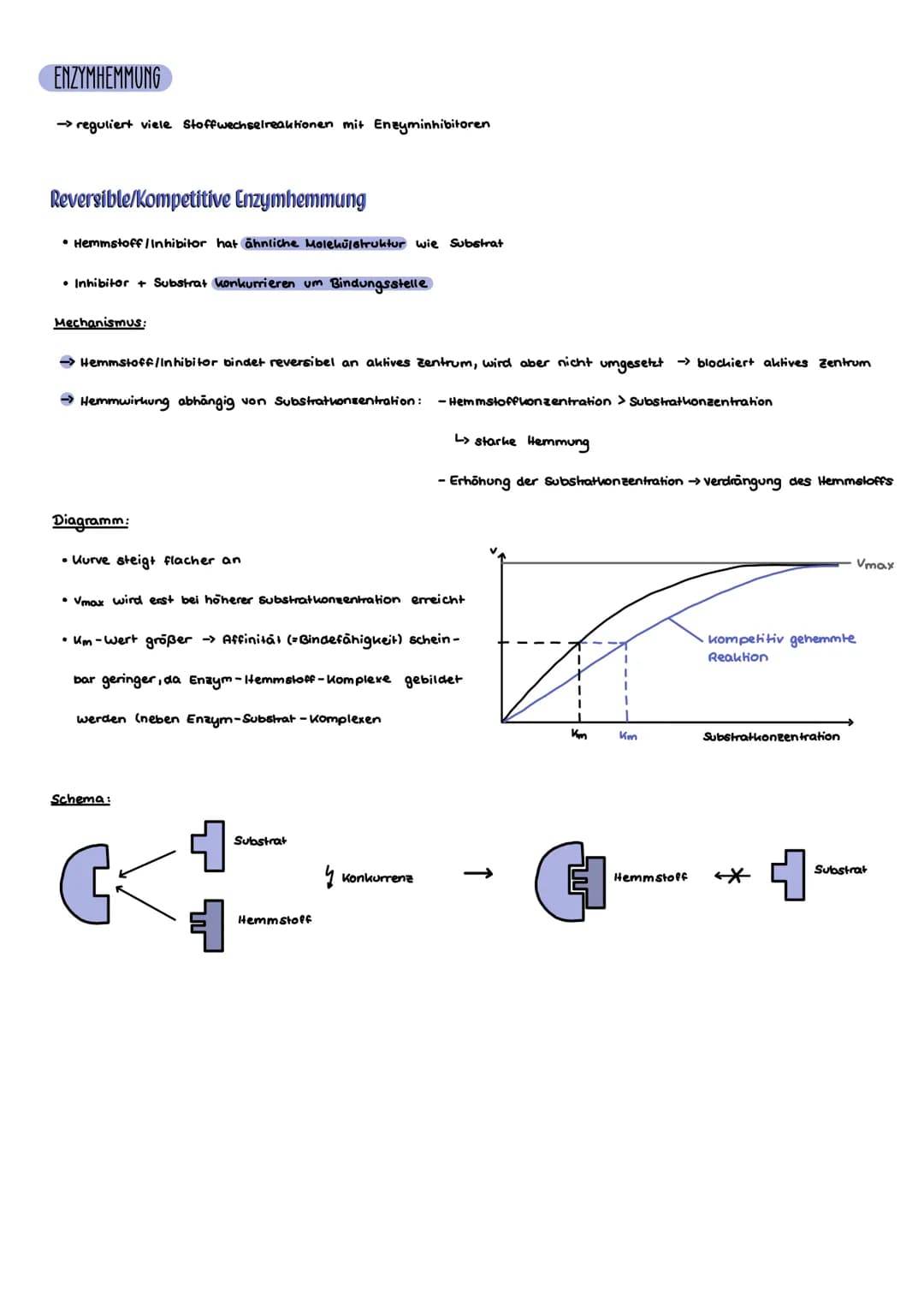 DEFINITION
→ Molekule, die biochemische Reaktionen katalysieren
Biokatalysatoren
L>
AUFBAU
Energie
Aktives Zentrum
→ Bereich des Enzyms, an 