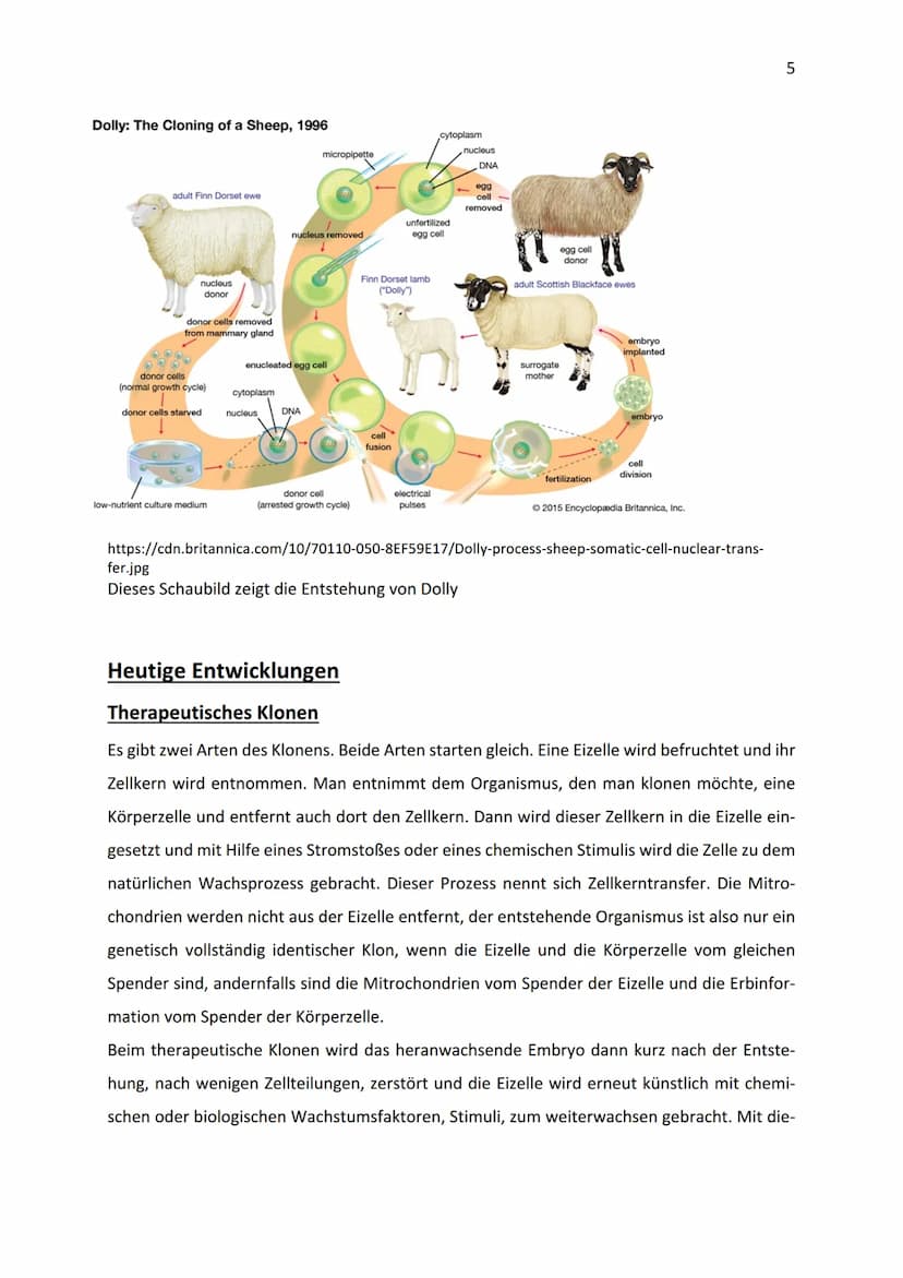 2019/20
Klonen-Anfänge, Gegenwart und Zukunft
10b
04.02.2020 1.
II.
III.
Einleitung
Anfänge
A. Erste Untersuchungen und Anwendungen
B. Dolly