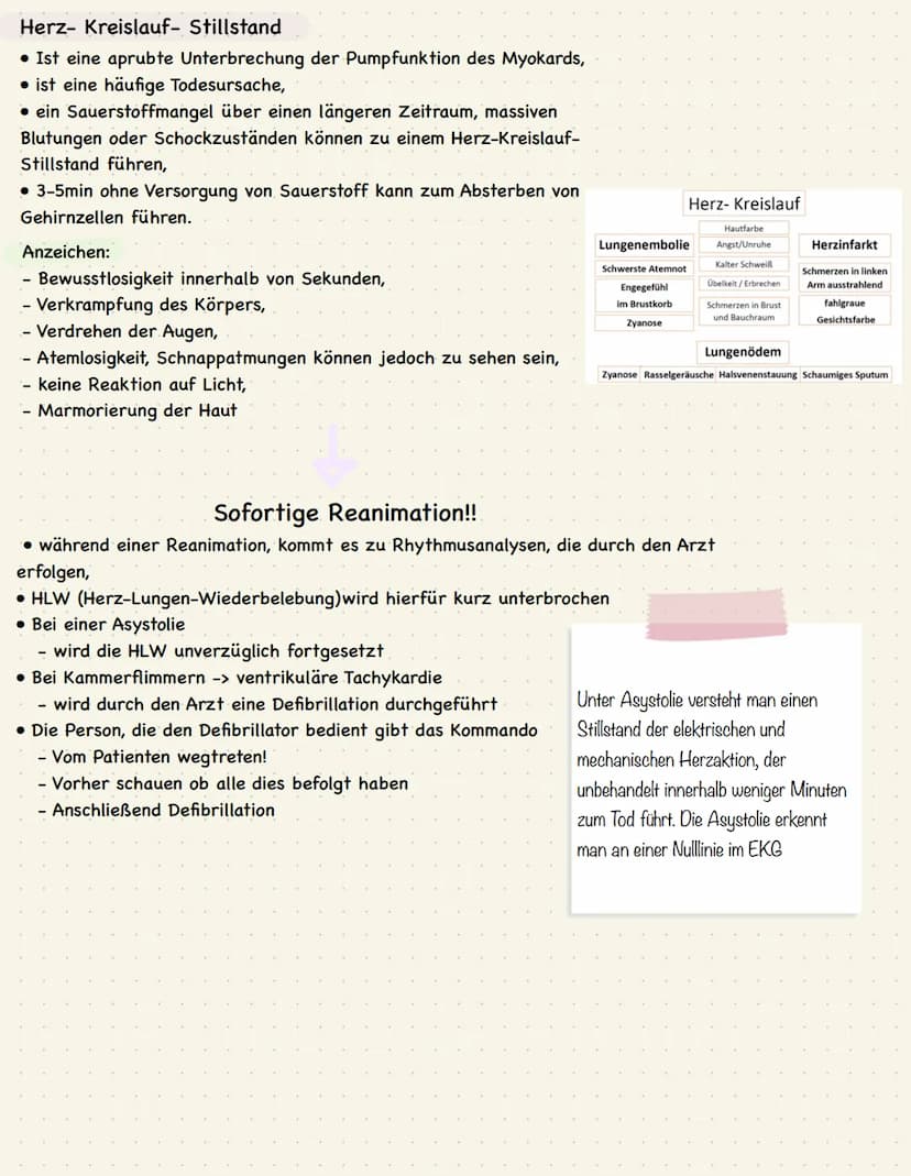 Notfallsituationen
Welche Personen sind bei einer Notfallsituation dabei?
• Arzt,
• 2 Pflegekräfte
Aufgabe der Pflege in Notfallsituationen: