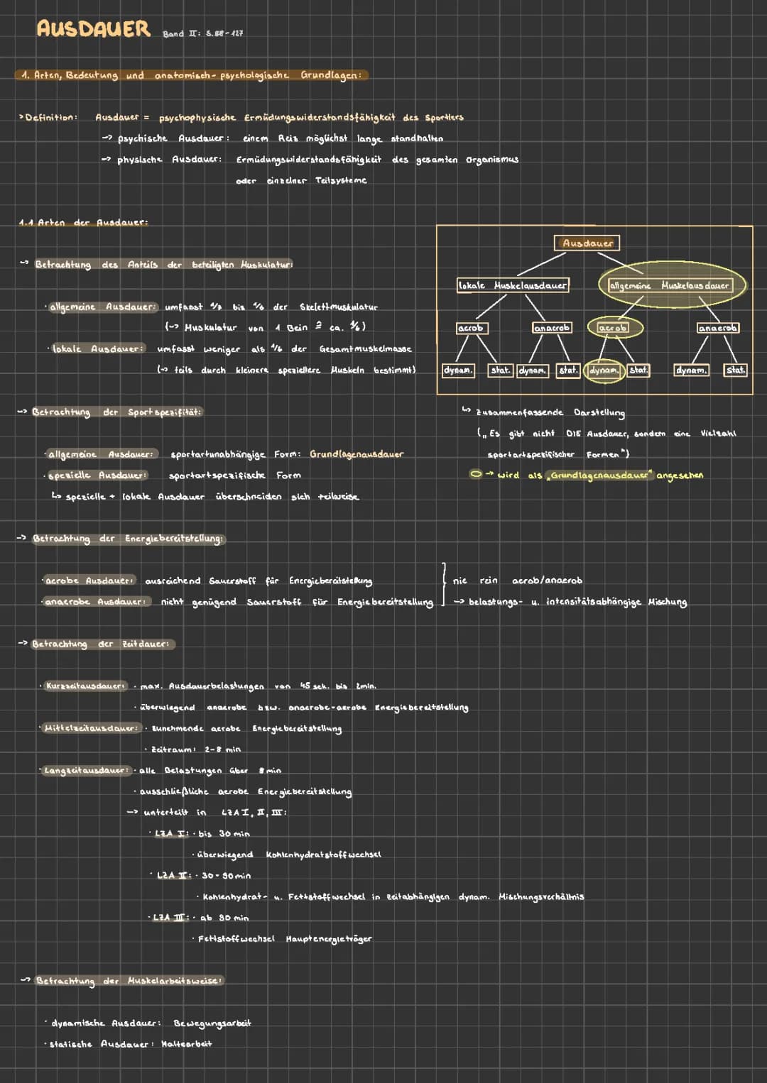 Ausdauer, Koordinative Fähigkeiten, Biomechanik