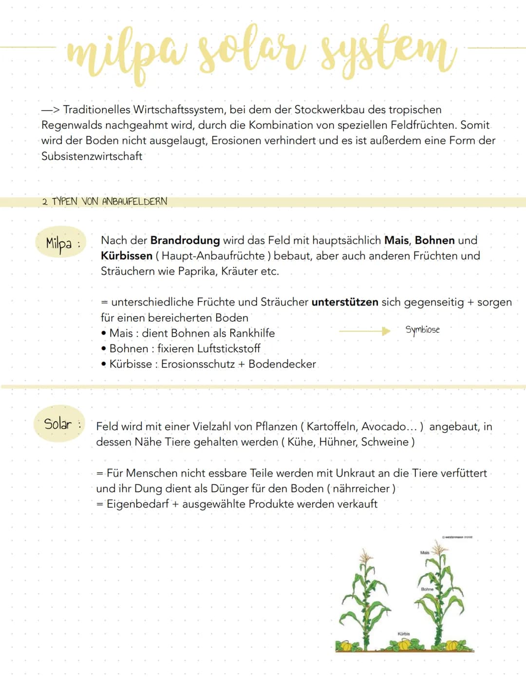 milpa solar system
-> Traditionelles Wirtschaftssystem, bei dem der Stockwerkbau des tropischen
Regenwalds nachgeahmt wird, durch die Kombin