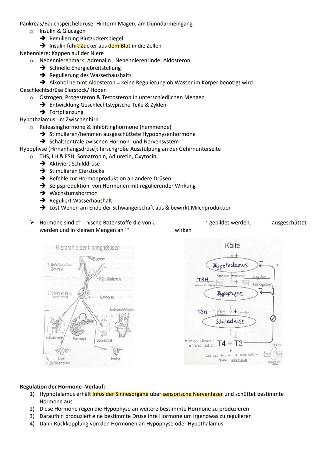 BIO - Hormonsystem

Vergleich:
| | Nervensystem | Hormonsystem |
| --- | --- | --- |
| Geschwindigkeit | Schnell (bis 100m/s) | Langsamer (b