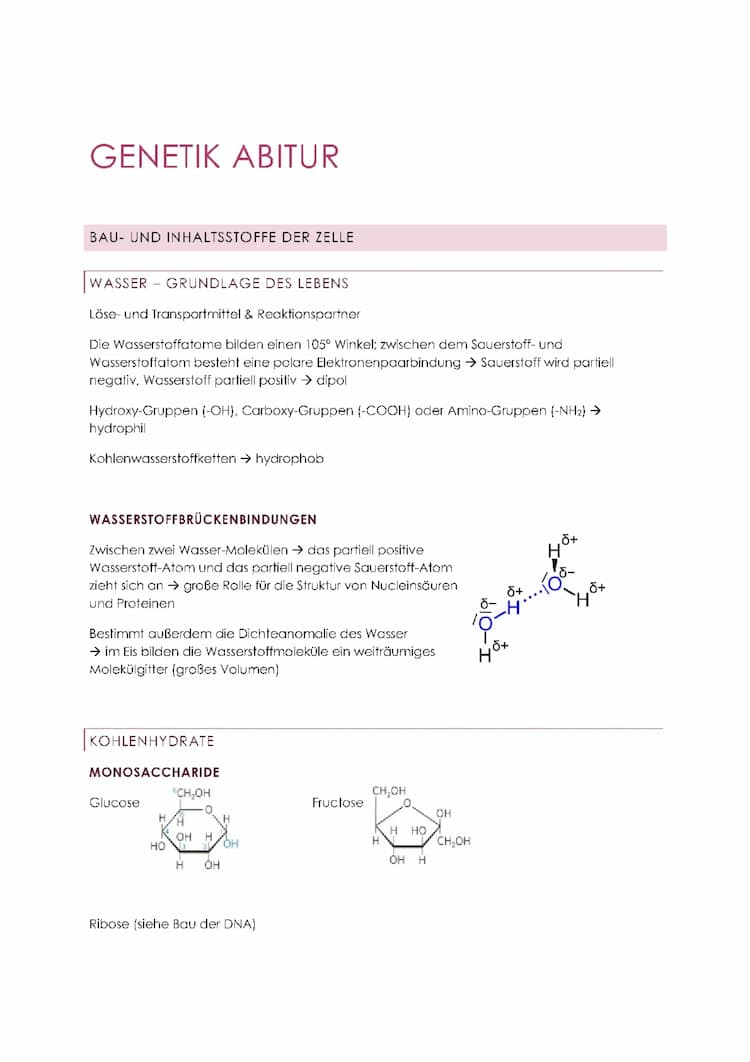 Know Genetik - Abitur thumbnail
