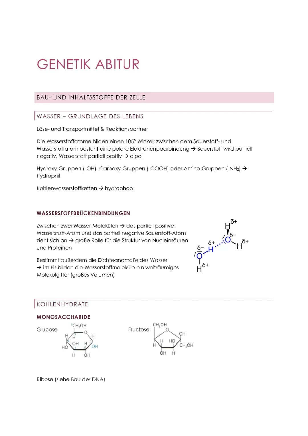 Genetik - Abitur