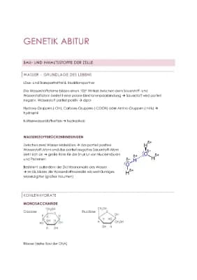 Know Genetik - Abitur thumbnail