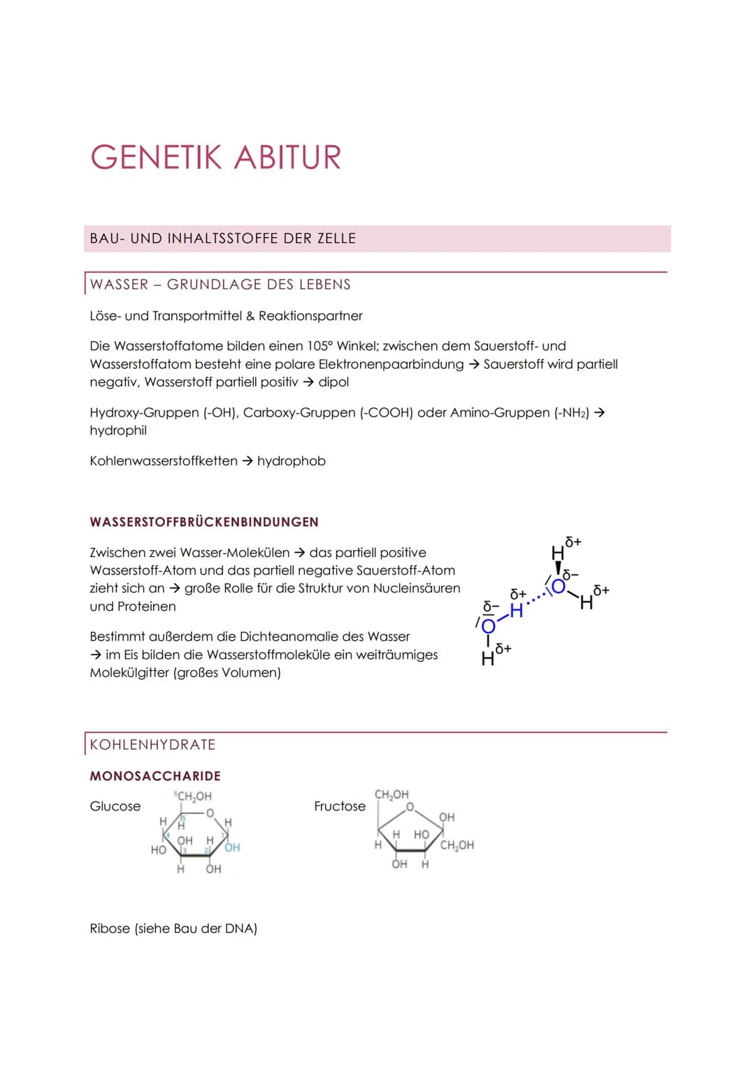 GENETIK ABITUR
BAU- UND INHALTSSTOFFE DER ZELLE
WASSER GRUNDLAGE DES LEBENS
Löse- und Transportmittel & Reaktionspartner
Die Wasserstoffatom