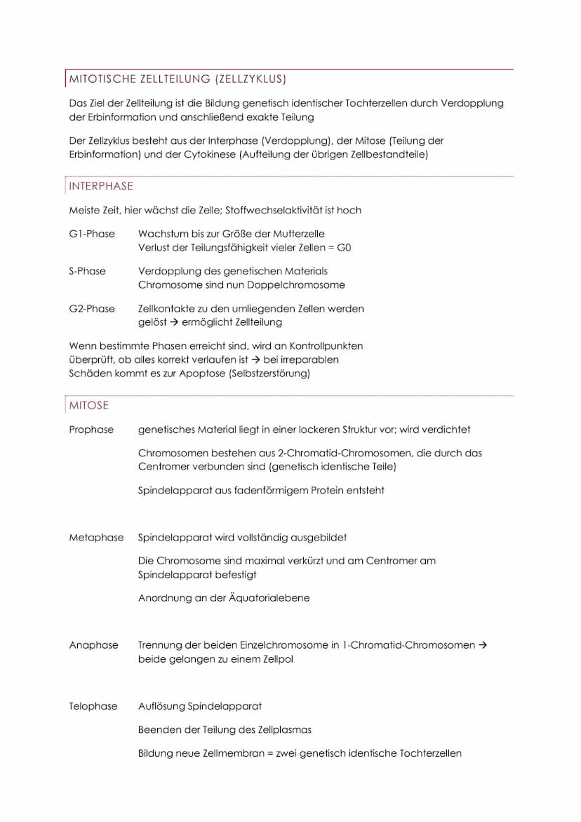 GENETIK ABITUR
BAU- UND INHALTSSTOFFE DER ZELLE
WASSER GRUNDLAGE DES LEBENS
Löse- und Transportmittel & Reaktionspartner
Die Wasserstoffatom