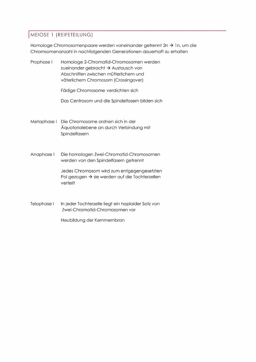 GENETIK ABITUR
BAU- UND INHALTSSTOFFE DER ZELLE
WASSER GRUNDLAGE DES LEBENS
Löse- und Transportmittel & Reaktionspartner
Die Wasserstoffatom