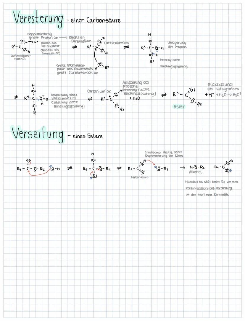 Orbitale
ATOMORBITALE -> warscheinlicher Aufenthatsraum eines Elektrons.
1. Periode
Lo Wasserstoff
2. Periode
CoLitium
2. Periode
LP Koniens