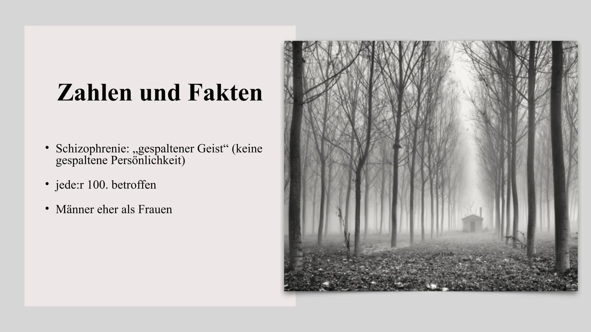 ich bin nur geteilt
in meinen Altersklassen.
1
DIE FRAGE
ABO Schizophrenie
@diedamitlernzetteln ●
Zahlen und Fakten
Schizophrenie: ,,gespalt