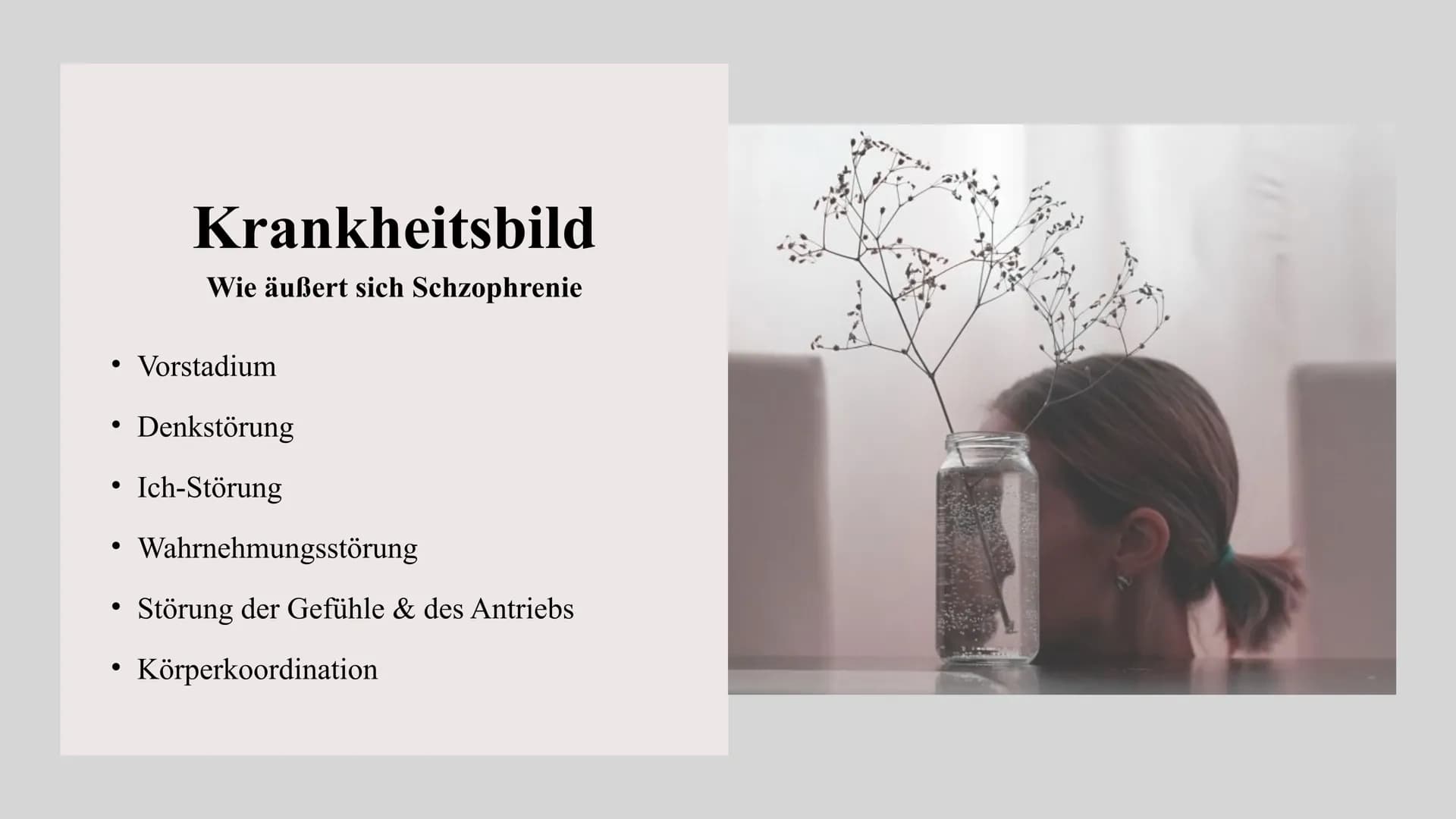 ich bin nur geteilt
in meinen Altersklassen.
1
DIE FRAGE
ABO Schizophrenie
@diedamitlernzetteln ●
Zahlen und Fakten
Schizophrenie: ,,gespalt