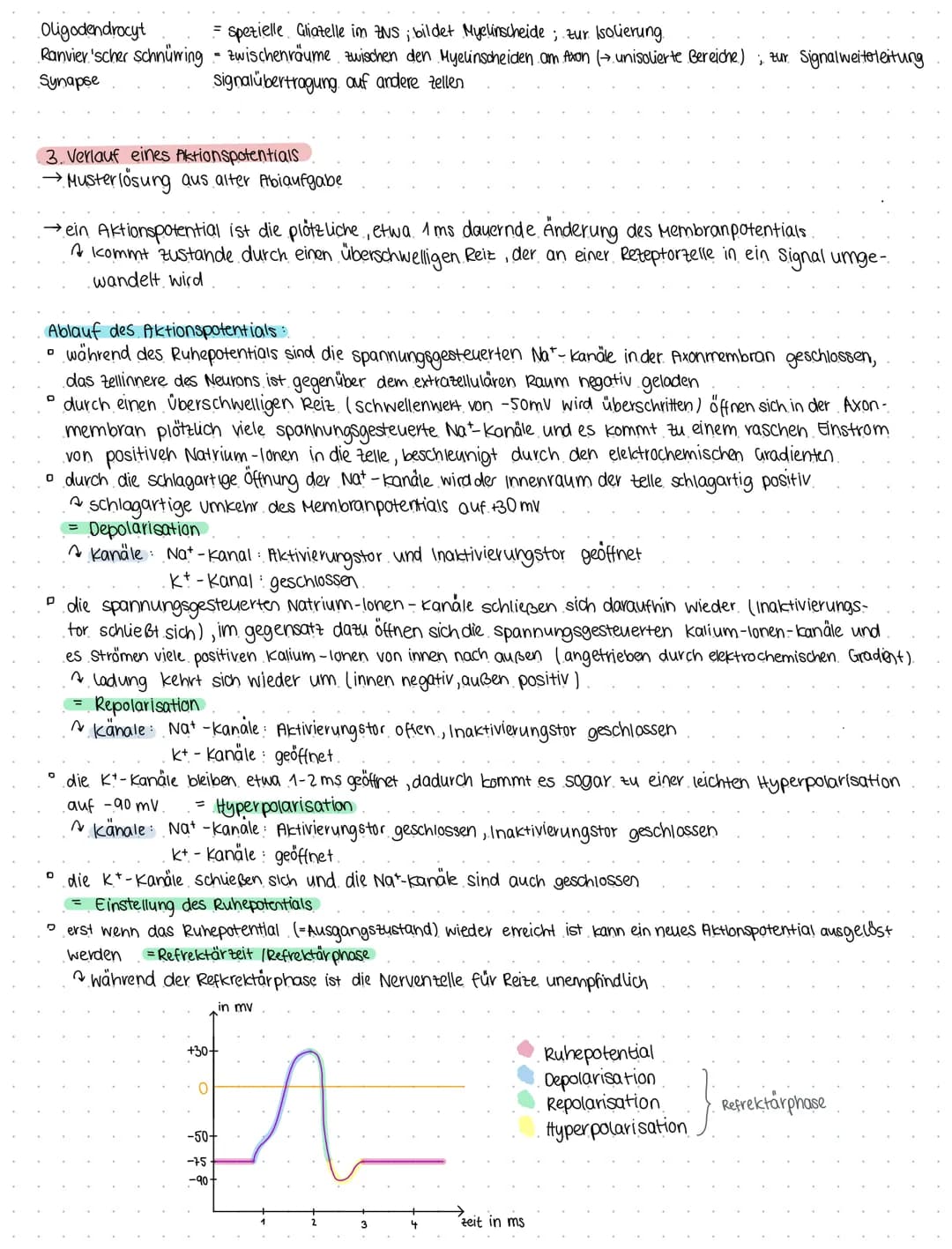 Bio 6
Themen Neurobiologie und Sinnesphysiologie
(a) Neurobiologie
Reiz = Umwelteinfluss, für den passende sinnesorgane existieren
1. Reiz- 