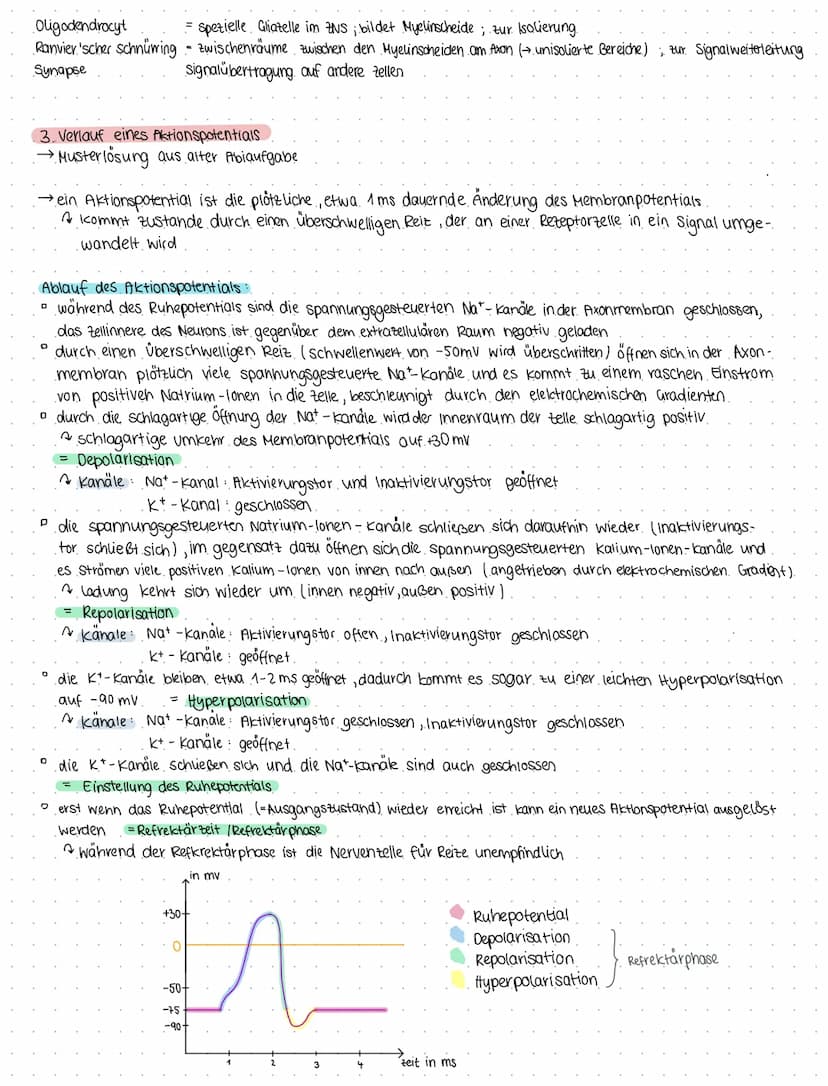 Bio 6
Themen Neurobiologie und Sinnesphysiologie
(a) Neurobiologie
Reiz = Umwelteinfluss, für den passende sinnesorgane existieren
1. Reiz- 