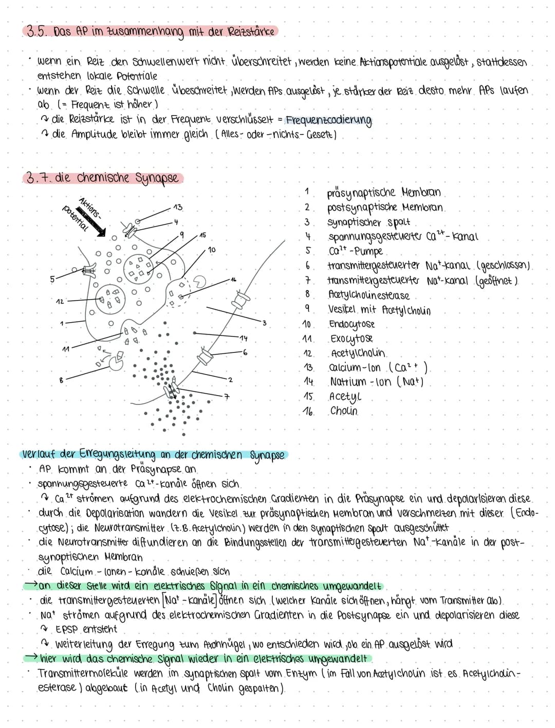 Bio 6
Themen Neurobiologie und Sinnesphysiologie
(a) Neurobiologie
Reiz = Umwelteinfluss, für den passende sinnesorgane existieren
1. Reiz- 