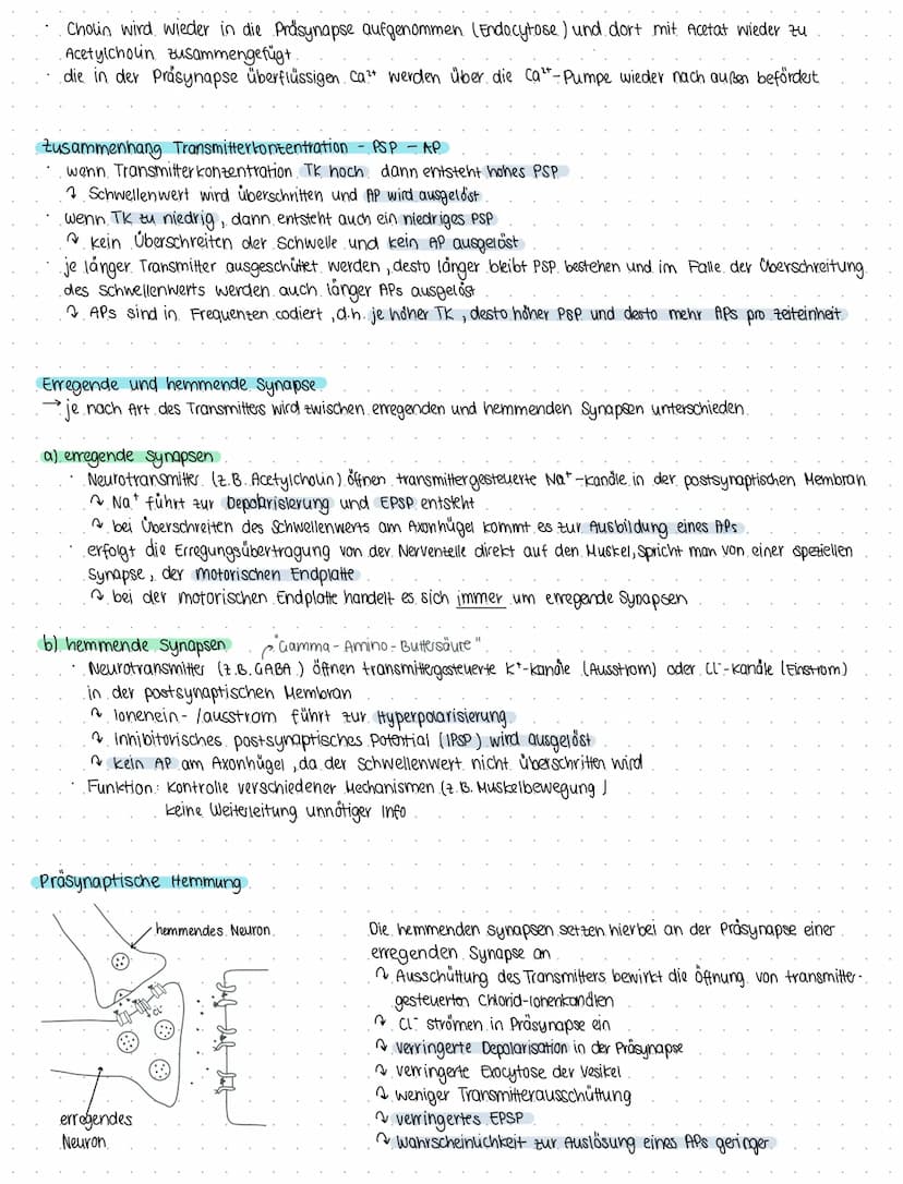 Bio 6
Themen Neurobiologie und Sinnesphysiologie
(a) Neurobiologie
Reiz = Umwelteinfluss, für den passende sinnesorgane existieren
1. Reiz- 
