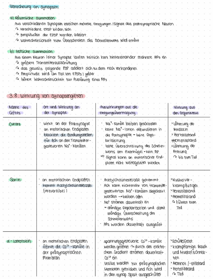 Bio 6
Themen Neurobiologie und Sinnesphysiologie
(a) Neurobiologie
Reiz = Umwelteinfluss, für den passende sinnesorgane existieren
1. Reiz- 