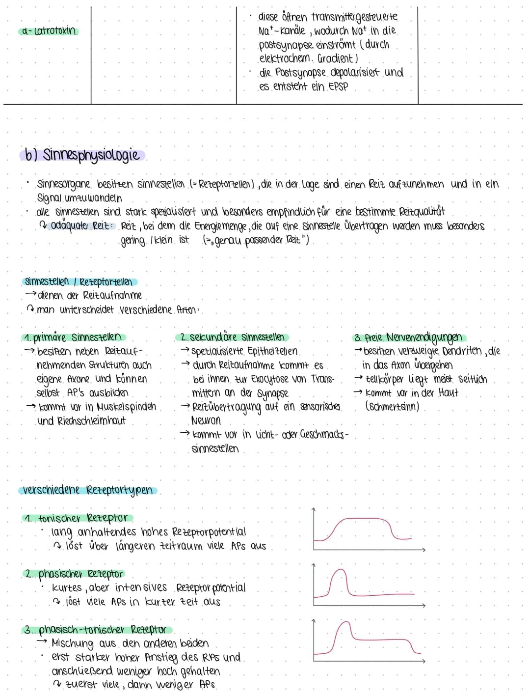 Bio 6
Themen Neurobiologie und Sinnesphysiologie
(a) Neurobiologie
Reiz = Umwelteinfluss, für den passende sinnesorgane existieren
1. Reiz- 