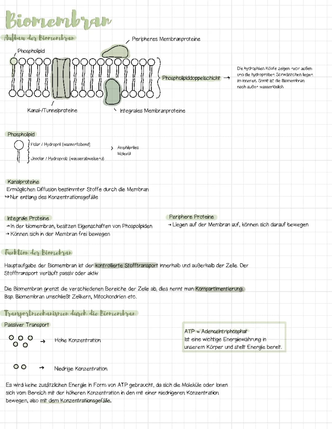 Biomembran
