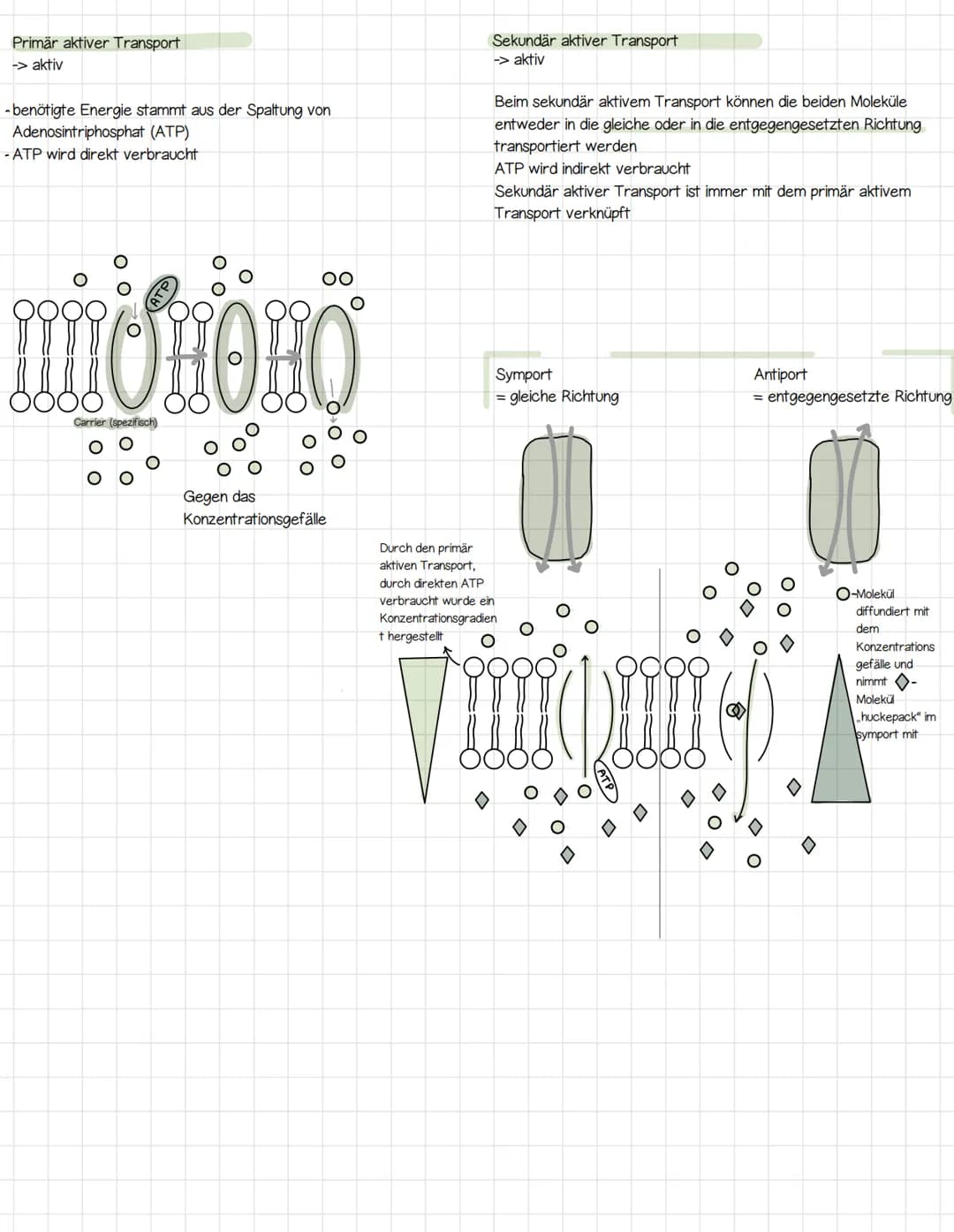 Biomembran
Aufbau der Biomembran
Phospholipid
!!!!!
Kanal-/Tunnelproteine
Phospholipid
요
Polar Hydrophil (wasserliebend)
Unpolar / Hydrophob